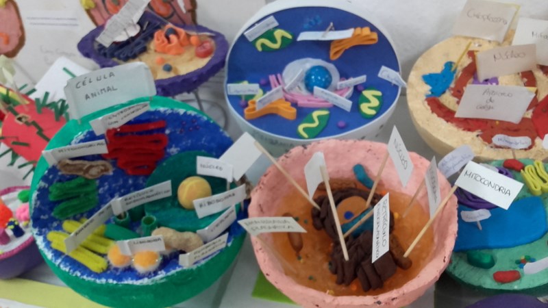 20170426 100308 [800x600]